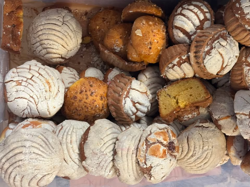 Fresh Pan Dulce Box